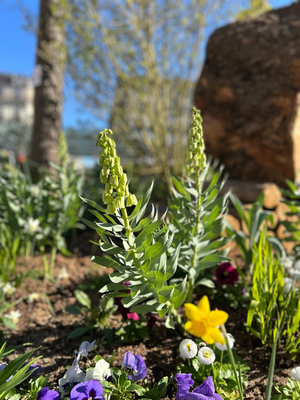 有些盛放是為了練習遺忘