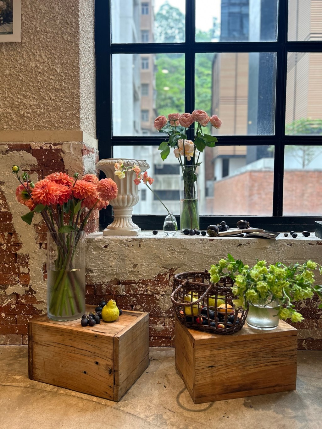 減法練習：從枝葉間學會告別